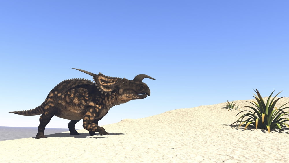Einiosaurus walking across a barren landscape Canvas Art - Kostyantyn IvanyshenStocktrek Images (38 x 22)