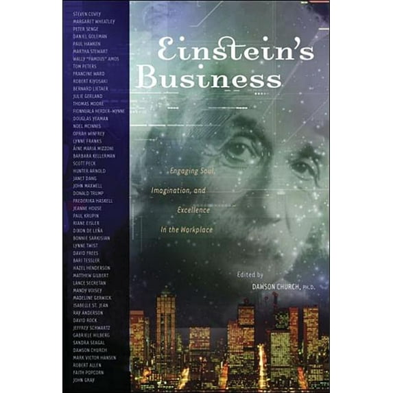 Einstein's Business: Engaging Soul, Imagination, and Excellence in the Workplace, (Paperback)
