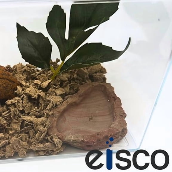 G3C816LEisco Labs - Aquarium Tank - Large 1.75 Gallon Molded Plastic Terrarium, Clear Polycarbonate Fish Tank or Insect Habitat with UV Protectant - 10.25" x 6.5" x 6.25"