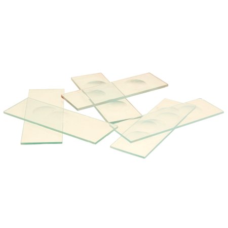 Eisco Labs Concavity Microscope Slides, Double Concavity, Pack of 50