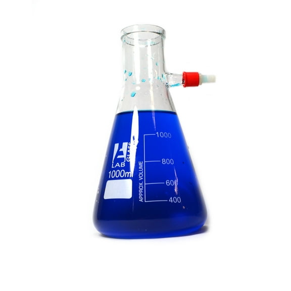 Eisco Labs Filter Flask, Borosilicate, 1000mL