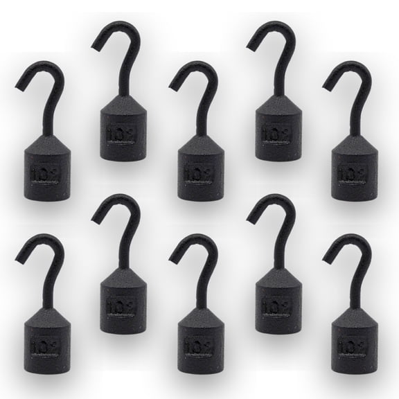 Eisco Labs - Hooked Weight 10-Pack, 10g Each - Iron, Cylindrical with Hook for Easy Lifting, Science Experiments, Physics, Scale Calibration, Measurement