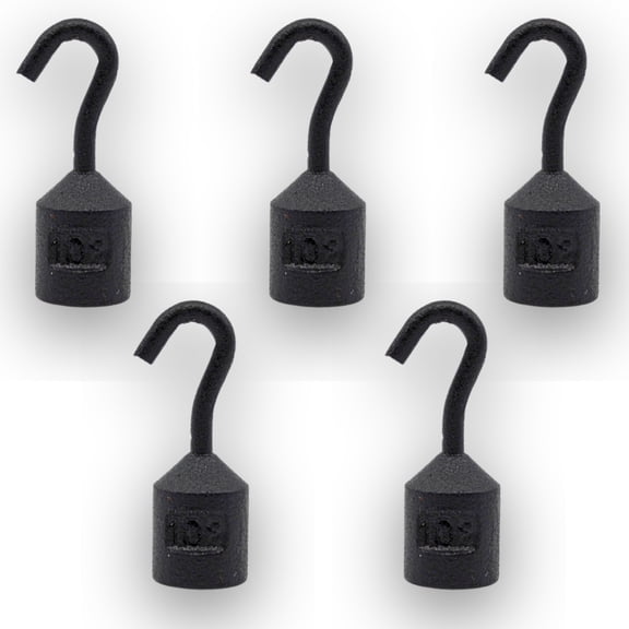 Eisco Labs - Hooked Weight 5-Pack, 10g Each - Iron, Cylindrical with Hook for Easy Lifting, Science Experiments, Physics, Scale Calibration, Measurement