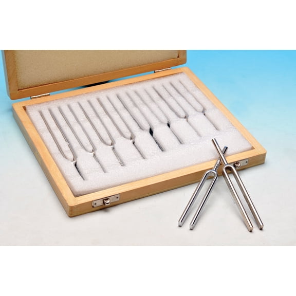 Eisco Labs Scientific Steel Tuning Forks, Set of 8 (Scientific Pitch, C4 = 256Hz) with Wooden Case - Designed for Physics Experiments
