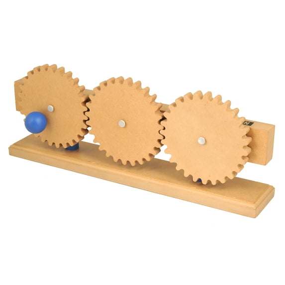 Eisco Labs Simple Machines, Gear Train Model