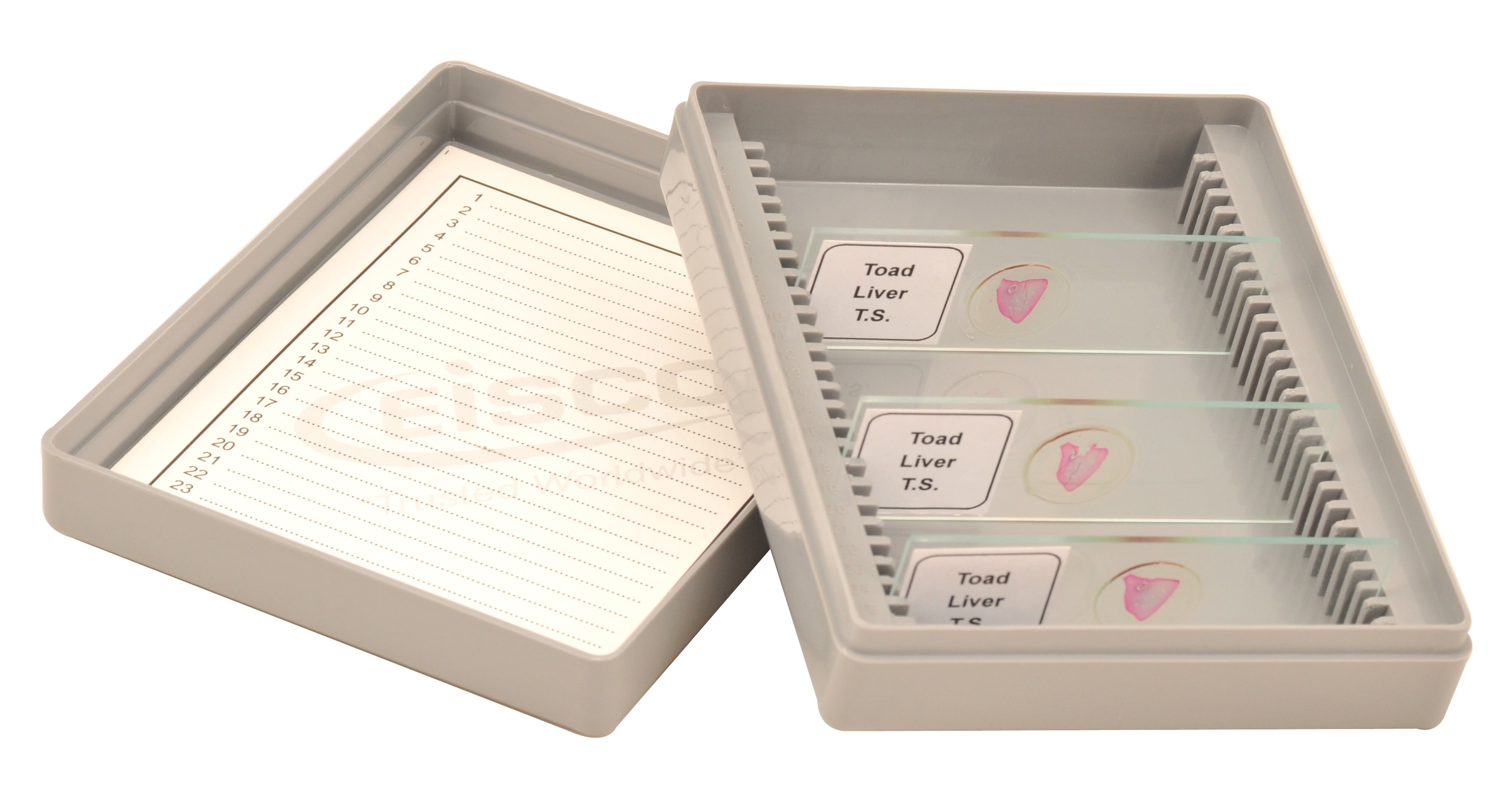 Eisco Labs Slide Box, Polystyrene, 25 Slides - Walmart.com