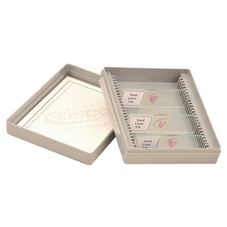 Eisco Labs Slide Box, Polystyrene, 25 Slides
