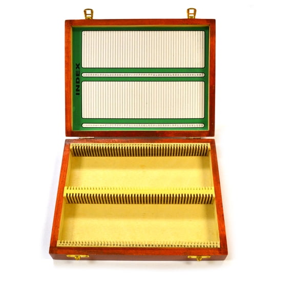 Eisco Labs Wooden Microscope Slide Box, 100 - 25x75mm Slides