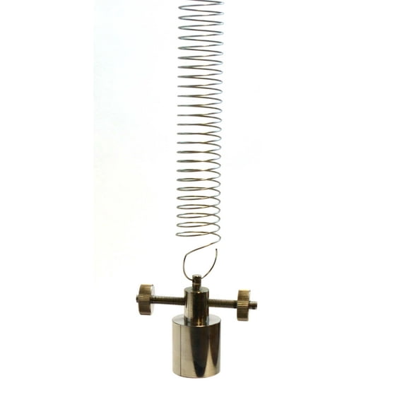 Eisco labs Wilberforce Pendulum