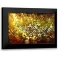 thumbnail image 1 of Eisele, Stefan 18x13 Black Modern Framed Museum Art Print Titled - Wonderland, 1 of 5