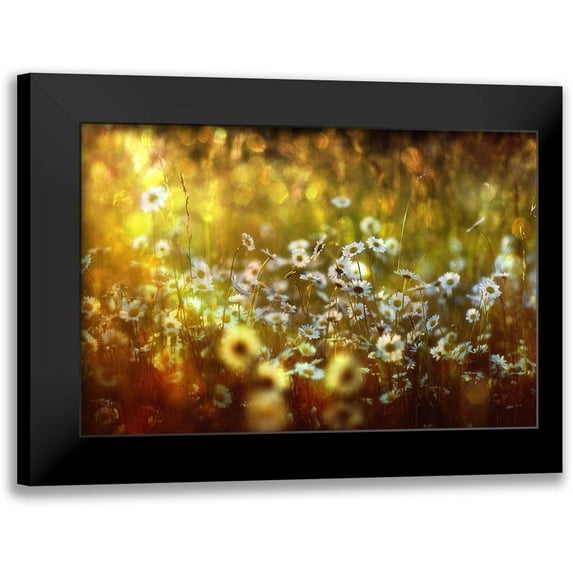 Eisele, Stefan 18x13 Black Modern Framed Museum Art Print Titled - Wonderland