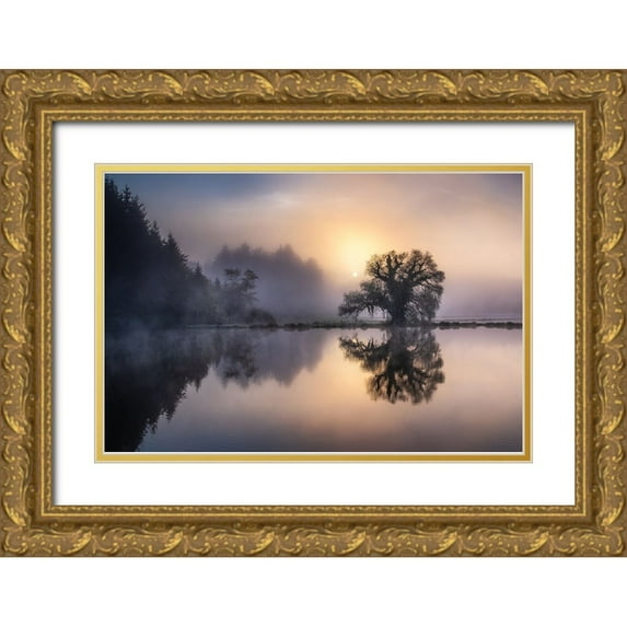Eisenmann, Ulrike 24x17 Gold Ornate Wood Framed with Double Matting Museum Art Print Titled - The old willow in the morning light
