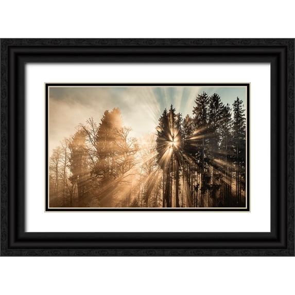 Eisenmann, Ulrike 32x21 Black Ornate Wood Framed with Double Matting Museum Art Print Titled - Fading away