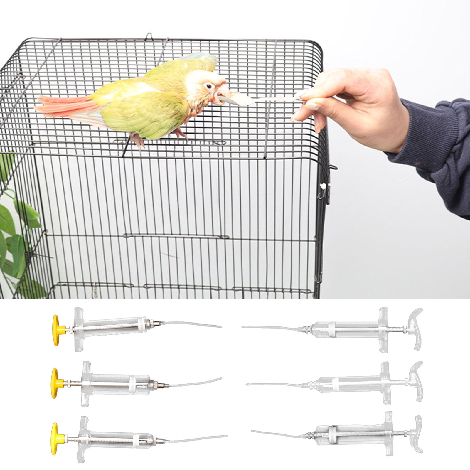 Fresh Look at Eisoary 10 20 30 50Ml Baby Bird Feeder With Scale