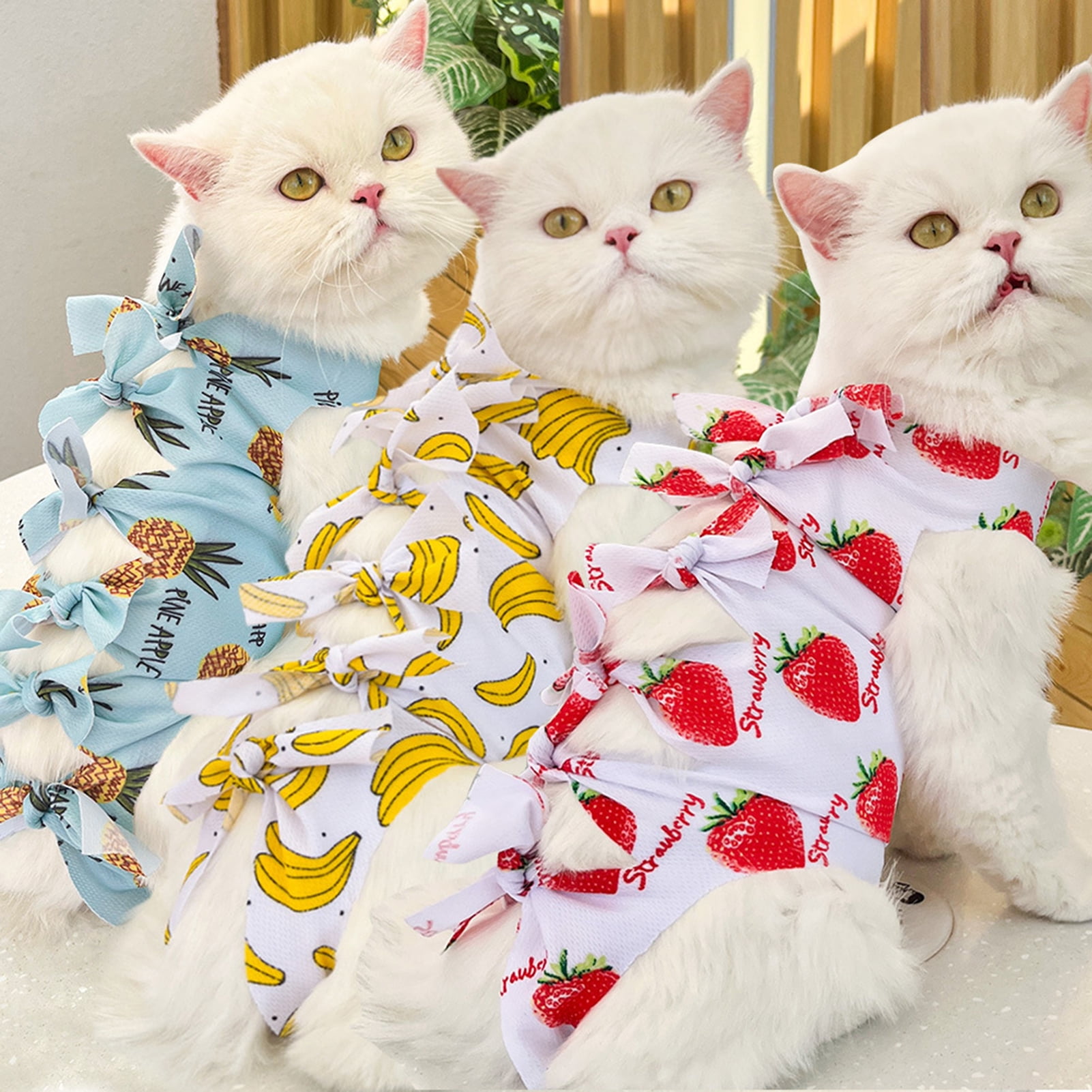 Eisoary Cat Neutering Suit Fruit Print Recovery Clothing AntiLick