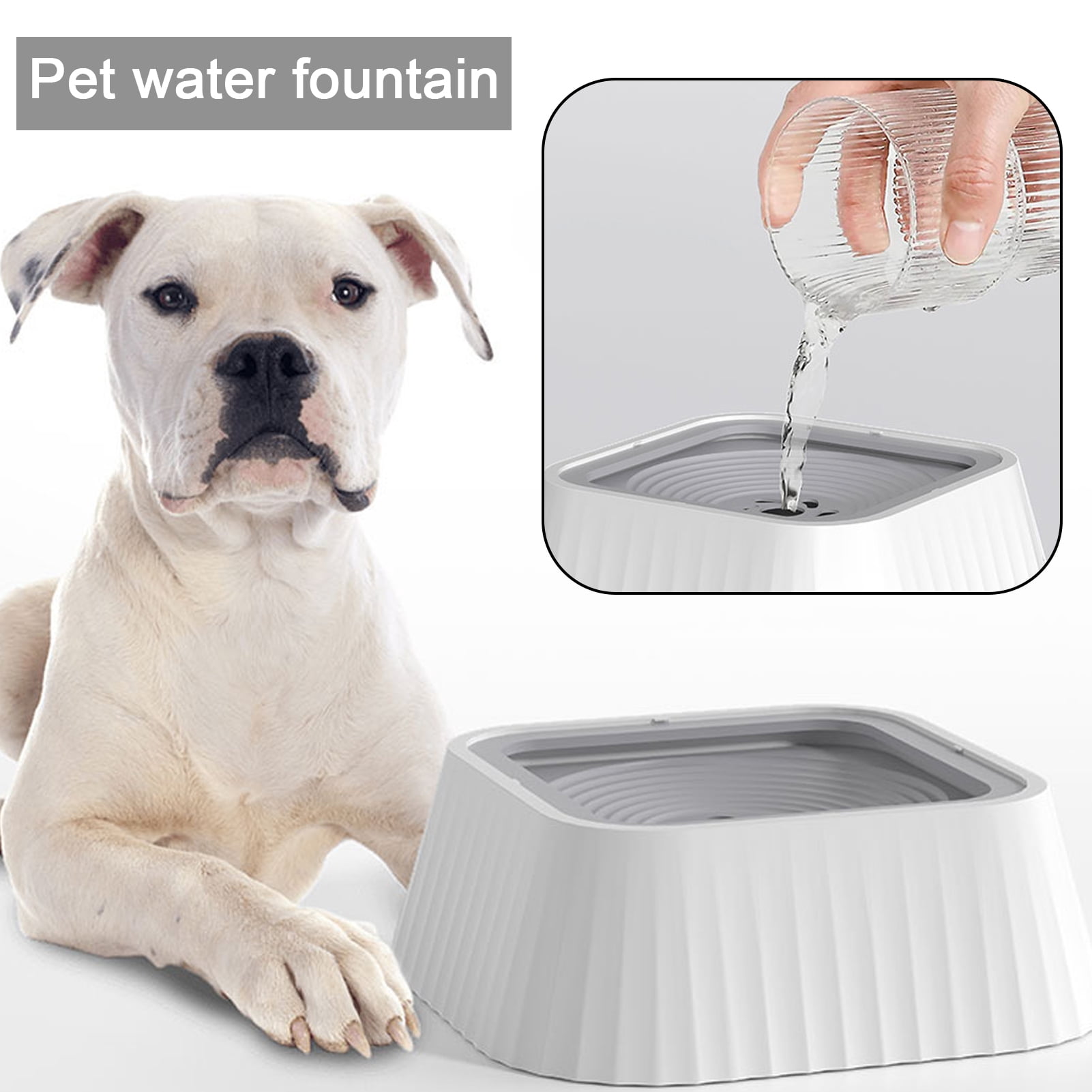 Floating Plate Dog Bowl