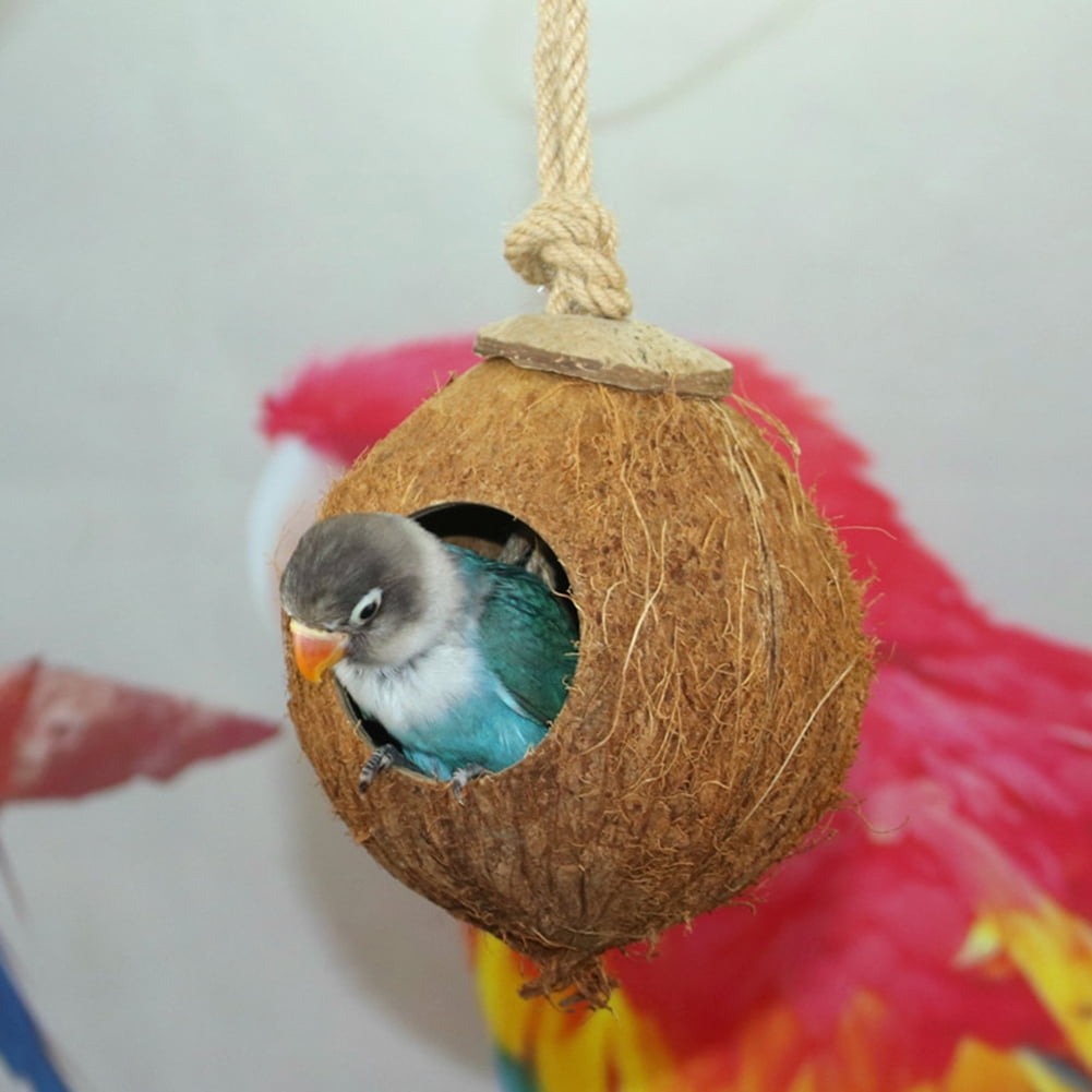 Eisoary Natural Coconut Shell Parrot Bird Pet Nest Hanging Summer Bed ...