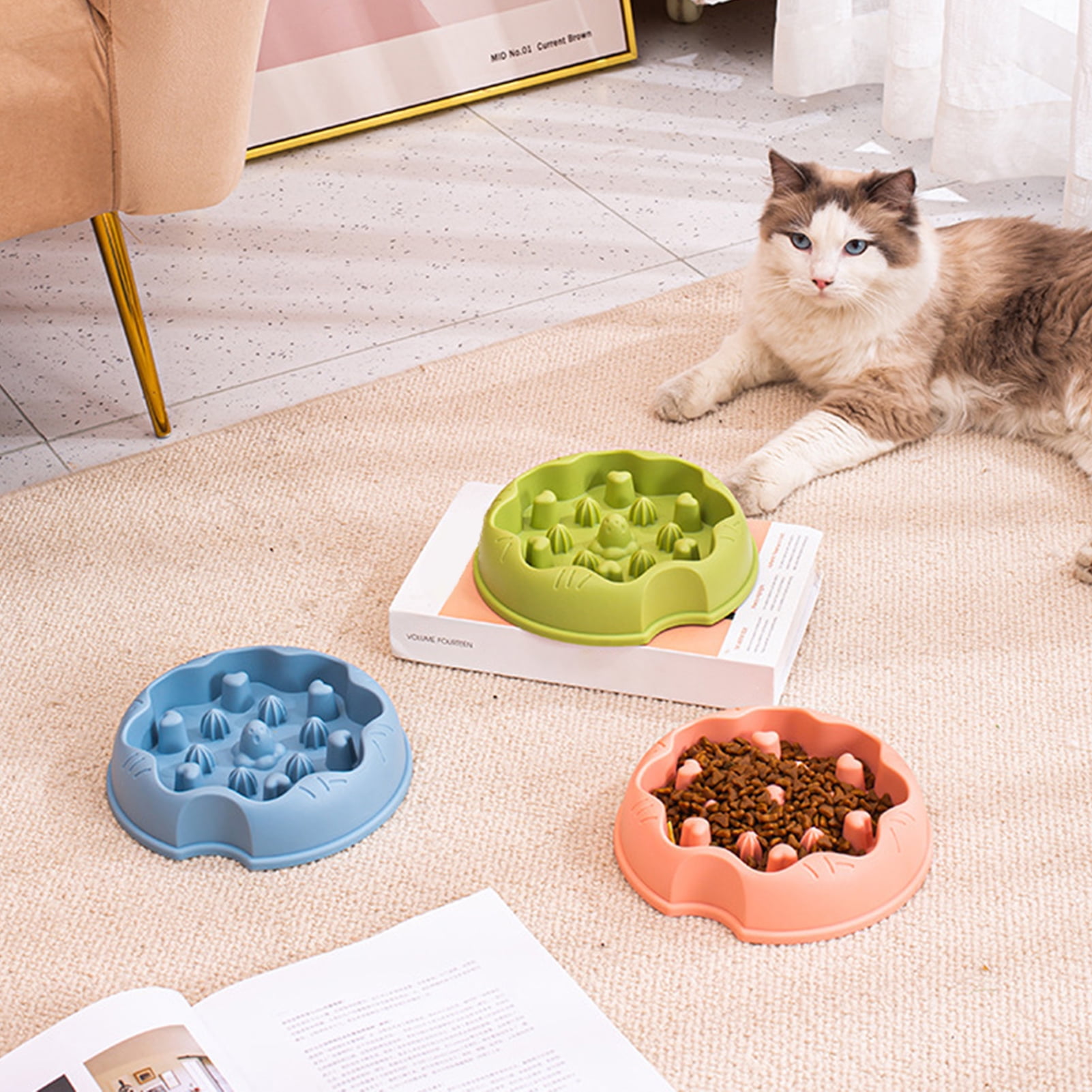 Slow Eating Pet Bowls For Digestive Health photo
