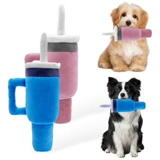 Dog Toy Water Bottle Inside