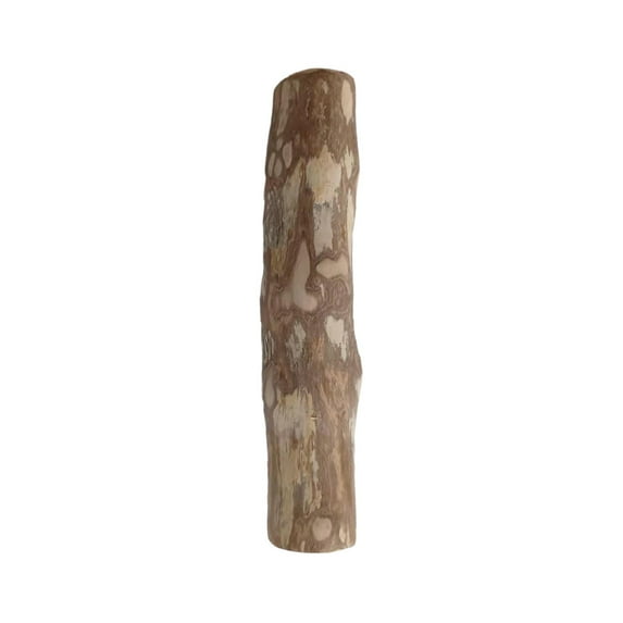 Eisoary Wood Dog Chew Stick Natural Wooden Bones Dog Teeth Cleaning Toy Dental Health Care Stick Organic Pet Chews for Dogs Size XL