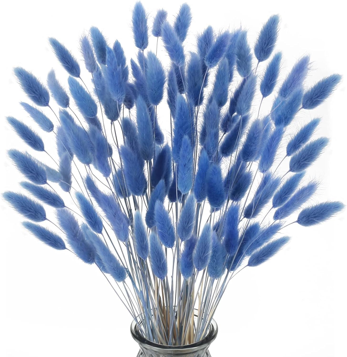 Dried Rabbit Tail Grass (Lagurus Ovatus) - 50 Stems, ~43 Cm, Natural Pampas For Home Decor - View #7