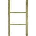 thumbnail image 1 of Ekena Millwork 19"W x 36"H x 3 1/2"D Vintage Farmhouse 2 Rung Ladder, Barnwood Decor Collection, Restoration Green, 1 of 13