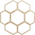 thumbnail image 1 of Ekena Millwork 40"OD x 14 1/8"ID x 3/8"T Florin Wood Fretwork Pierced Ceiling Medallion, Alder, 1 of 3