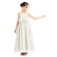 thumbnail image 1 of Ekidsbridal A-Line Ruffle Chiffon Flower Girl Dresses Junior Bridesmaid Gown for Wedding Ceremony 192 12, 1 of 4