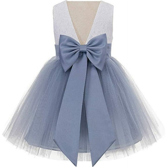 Ekidsbridal V-Back Backless Lace Flower Girl Dress Pageant Evening Formal Photoshoot Mini Bridal Gown 206T S