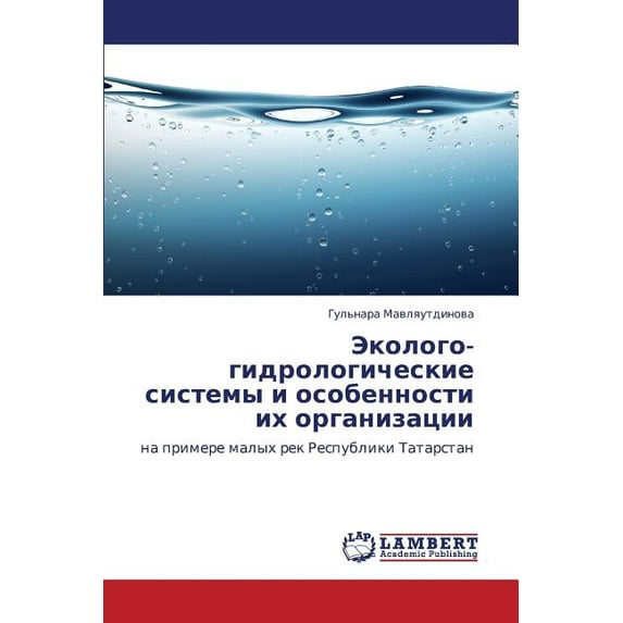 Ekologo-Gidrologicheskie Sistemy I Osobennosti Ikh Organizatsii (Paperback)