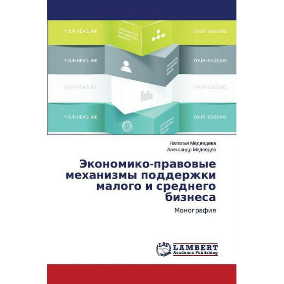 Ekonomiko-Pravovye Mekhanizmy Podderzhki Malogo I Srednego Biznesa (Paperback)
