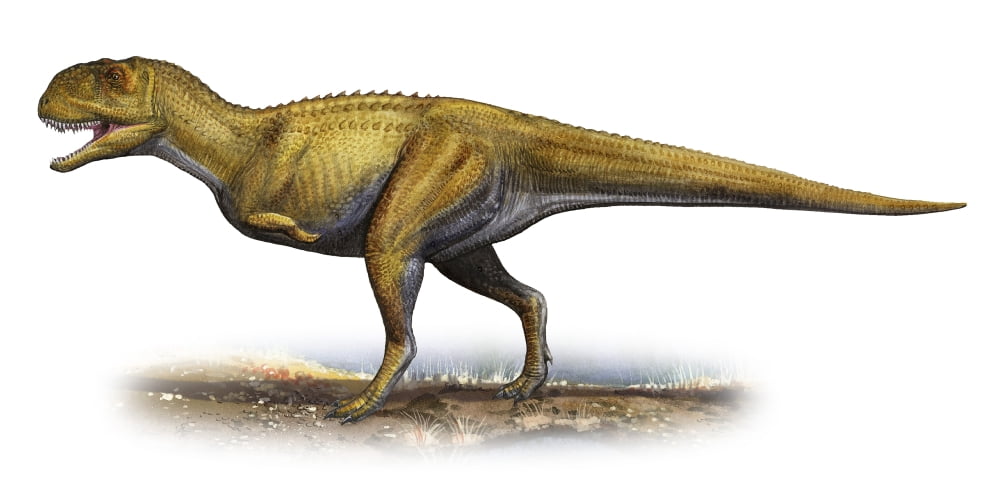 Ekrixinatosaurus novasi a prehistoric era dinosaur Canvas Art - Sergey KrasovskiyStocktrek Images (20 x 10)
