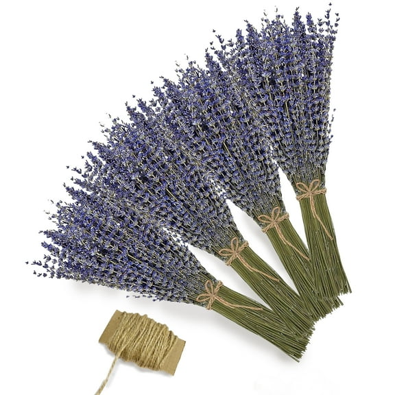 Ekuci Aesthetic Dried Lavender Bunches – 100% Fresh Natural Purple Flowers (4 Bundles) – Perfect for Home, Vase, Bathroom Decoration & Fragrance, Crafts, Wedding, 15-17"