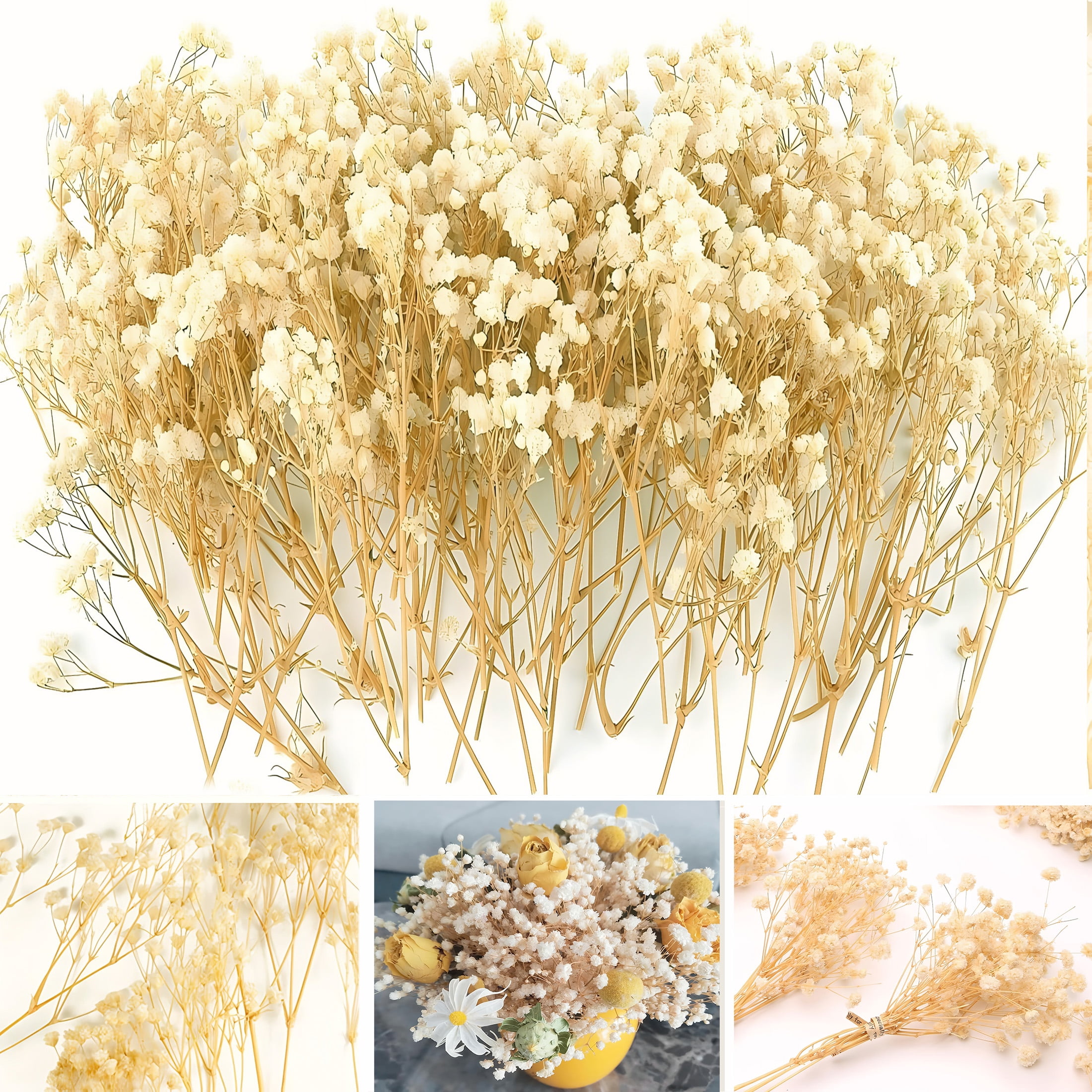 Dried White Flowers