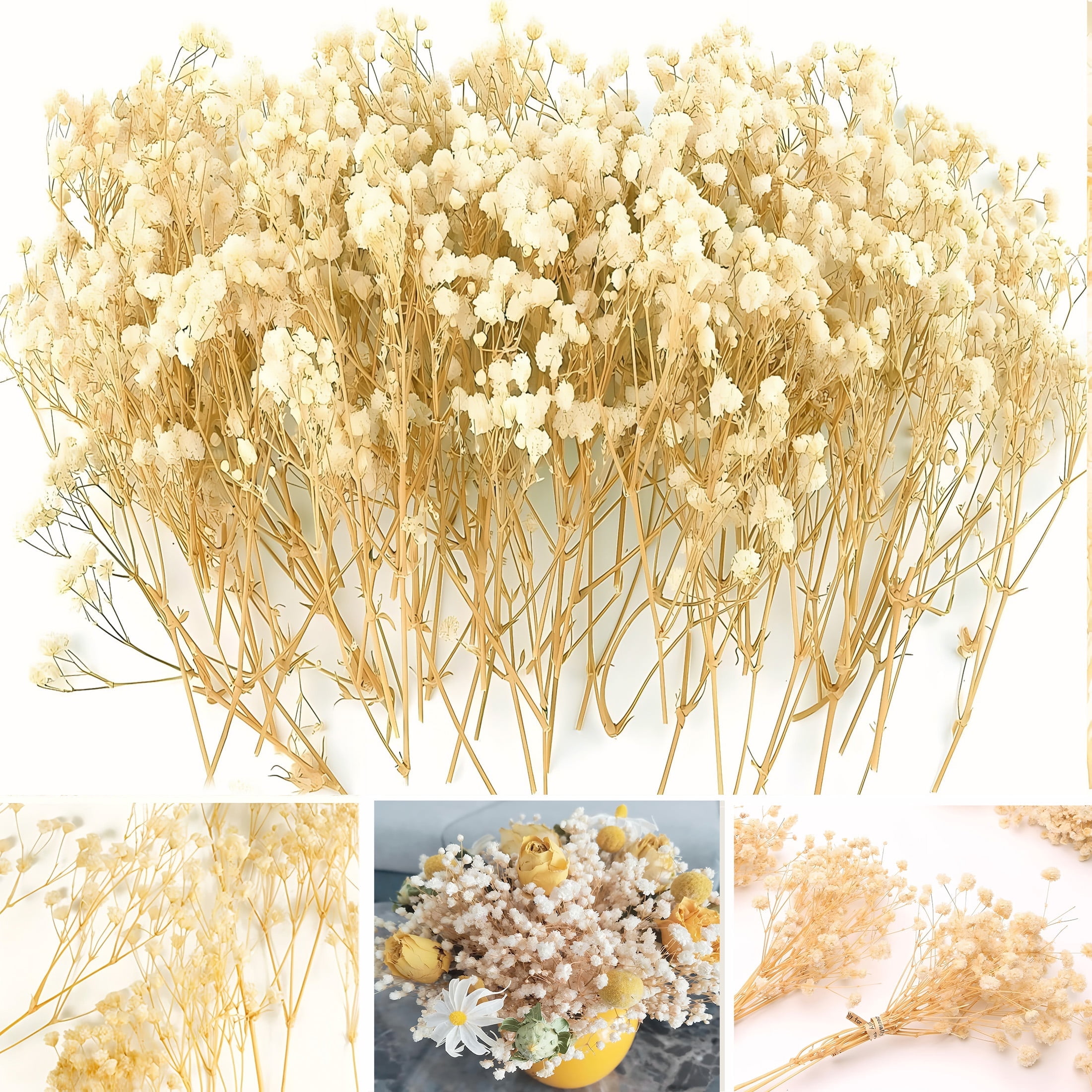Dried White Flowers