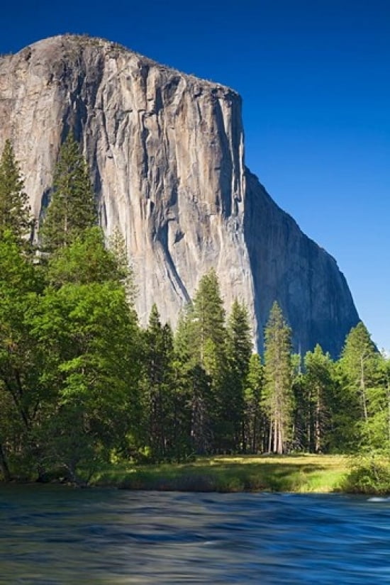 El Capitan and Merced River Yosemite NP CA Canvas Art - Jamie & Judy Wild DanitaDelimont (11 x 17)