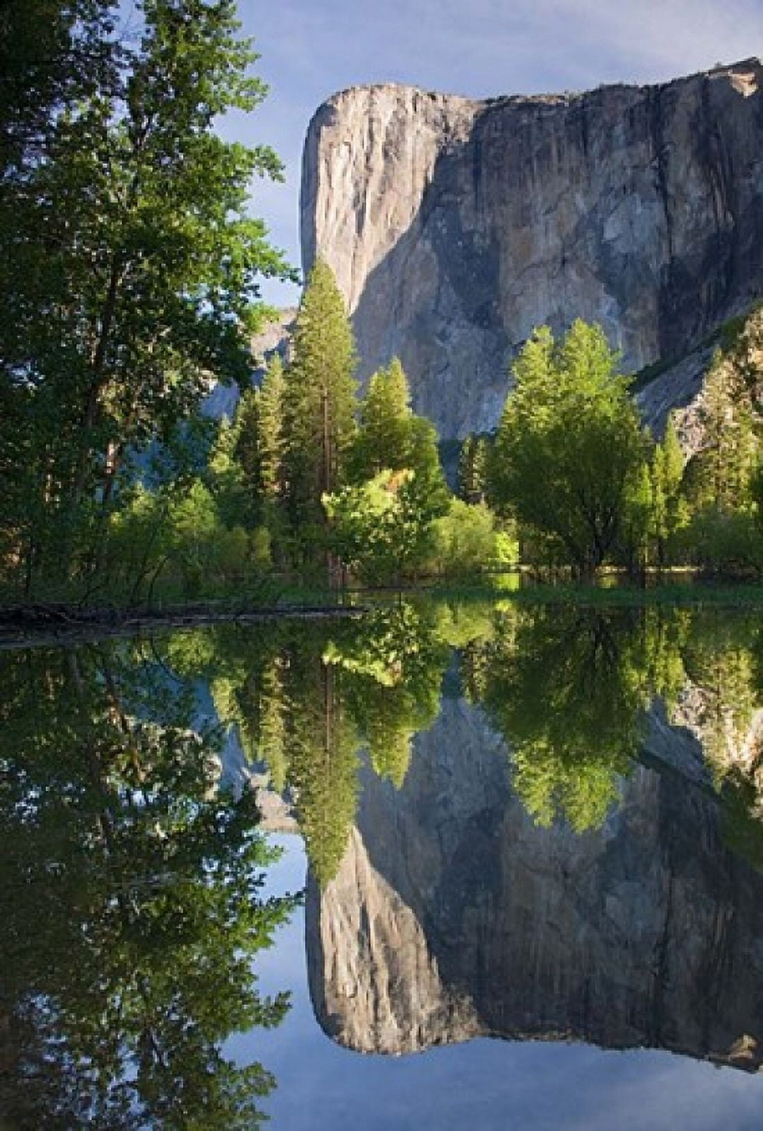El Capitan reflected in Merced River Yosemite NP CA Canvas Art - Jamie & Judy Wild DanitaDelimont (24 x 35)
