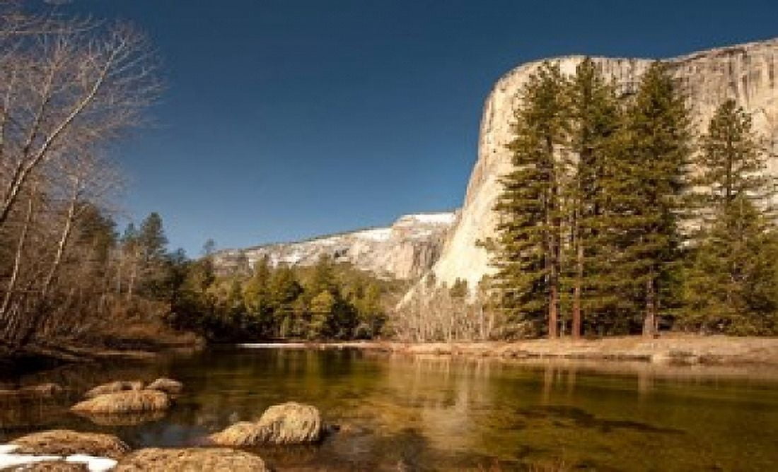 El Capitan towers over Merced River Yosemite California Canvas Art - Tom Norring DanitaDelimont (38 x 24)