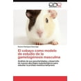 thumbnail image 1 of El Cobayo Como Modelo de Estudio de La Gametogenesis Masculina (Paperback), 1 of 1