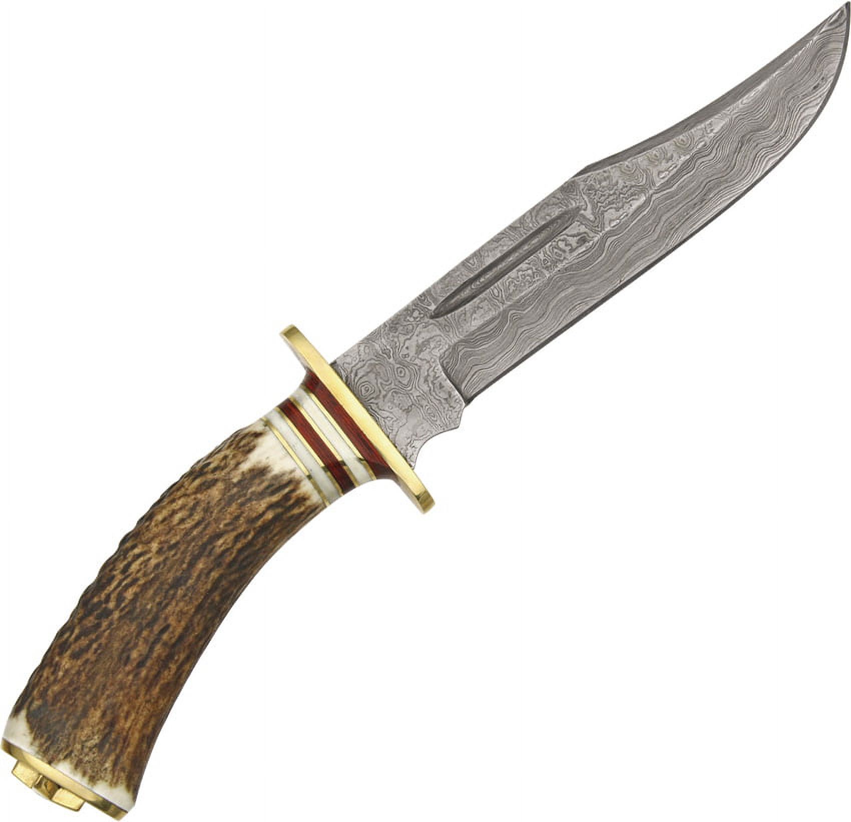 SANZ 10.25" EL Dorado Hunting Knife Damascus Steel Blade Stag Handle with Leather Sheath Pocket Knife for Hunting, Camping & Outdoor uses