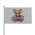 El Paso Chihuahuas Flag 3x5 Outdoor ,Sewn Stripes, Stronger Brass
