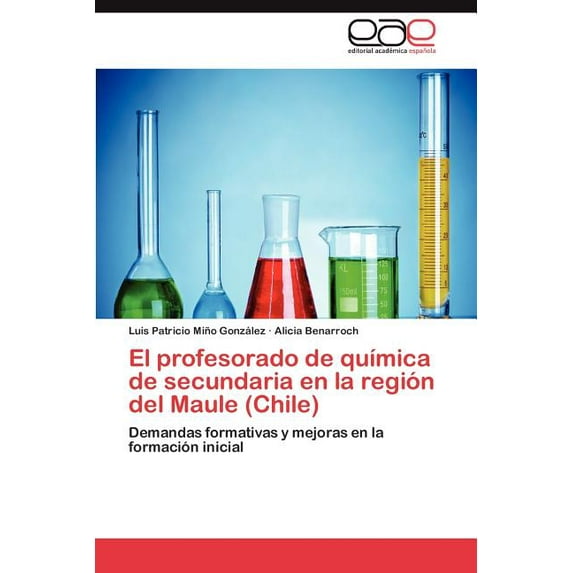 El Profesorado de Quimica de Secundaria En La Region del Maule (Chile) (Paperback)