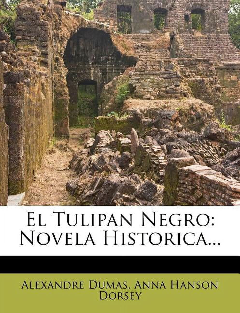 El Tulipan Negro : Novela Historica (Paperback)