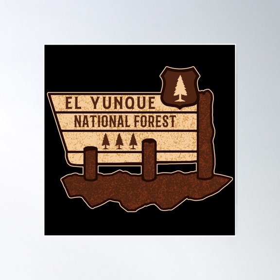 El Yunque National Forest Poster Wall Art, Modern Wall Decor, 30x30 UNFRAMED