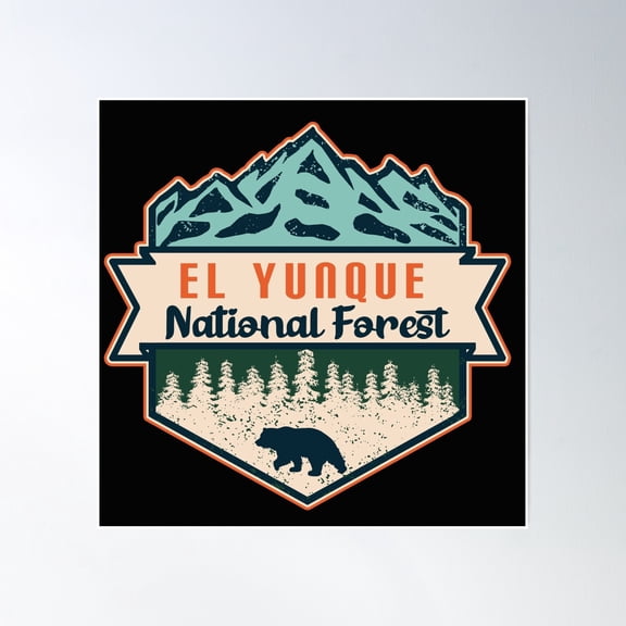 El Yunque National Forest Poster Wall Art, Modern Wall Decor, 30x30 UNFRAMED