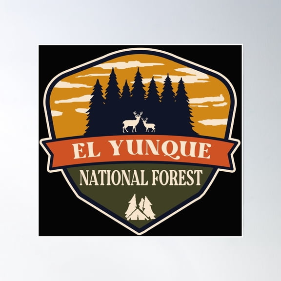 El Yunque National Forest Poster Wall Art, Modern Wall Decor, 30x30 UNFRAMED