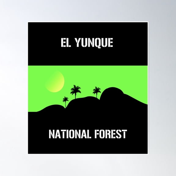 El Yunque National Forest Poster Wall Art, Modern Wall Decor, 30x30 UNFRAMED