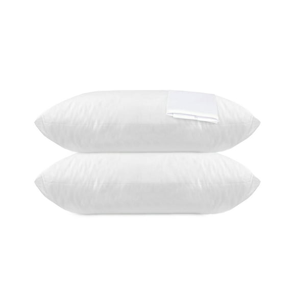 Elaine Karen Pillow Case Protector Waterproof Vinyl Zippered Pillowcases, 2 Pack, Queen Size