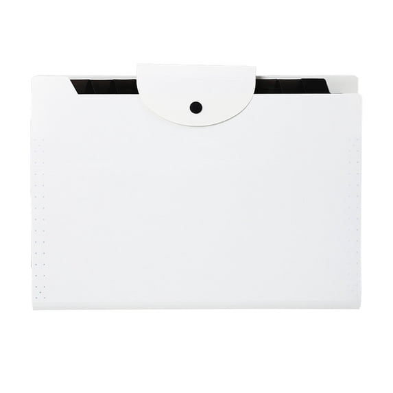 Elainilye 12-Pocket A4 Document Organizer Folder, Exam Paper Classification Storage System, Office File Pack for Officework Data Archiving Portfolio Management