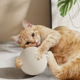 thumbnail image 1 of Elainilye Cat Scratching Ball for Interactive Enrichment and Play, Cat Scratching Toy Heavy Duty Hemp Rope Toy, Cats Scratcher Indoor Interactive Pet Toy, 1 of 6